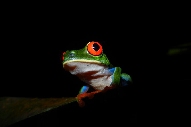 Ecocentro Danaus Guided Tours - Tour Group Requirements