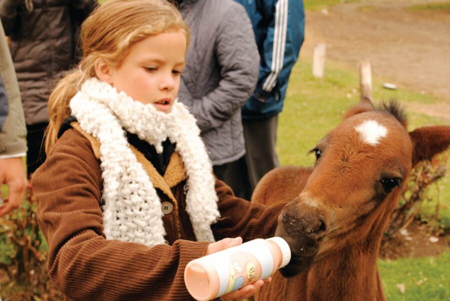 El Calafate: 25 De Mayo Farm Tour With Dinner & Transfer