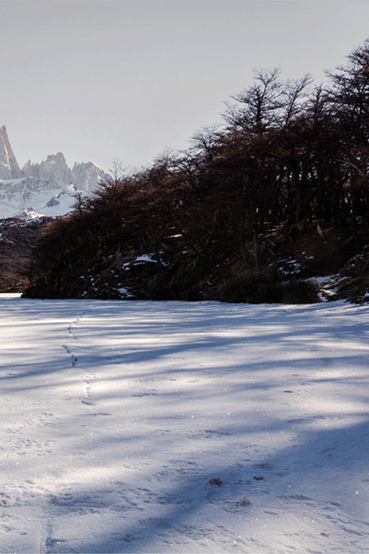 El Calafate: Laguna De Los Tres Transfer & Self-Guided Hike