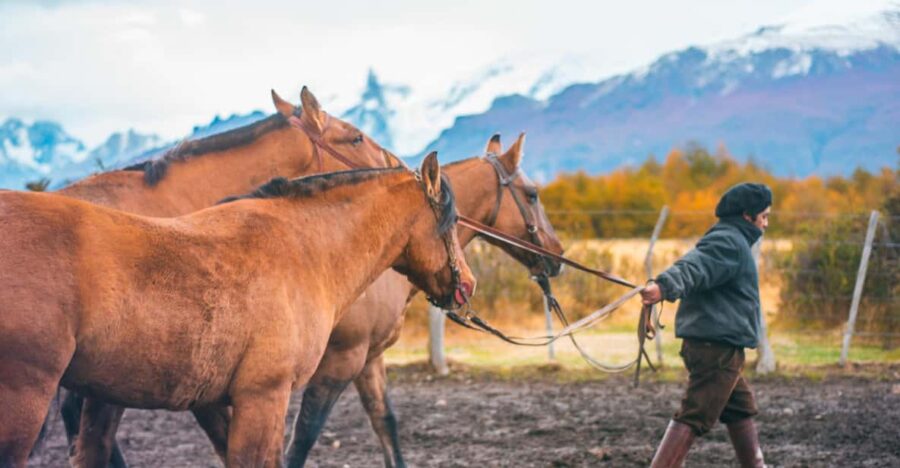 El Calafate: Nibepo Aike Ranch With Horseback Riding - Activity Overview