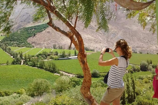 Elqui Valley Tour: Full Day History and Flavors