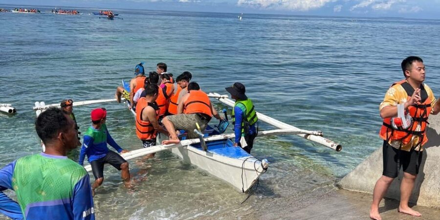 Encounter Giants: Taug Whaleshark Snorkeling Adventure Tour