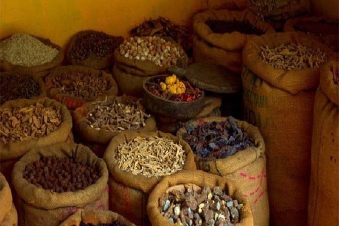 Enjoy the Best Food Tour in Kochi With a Local ! - Tour Overview and Key Highlights