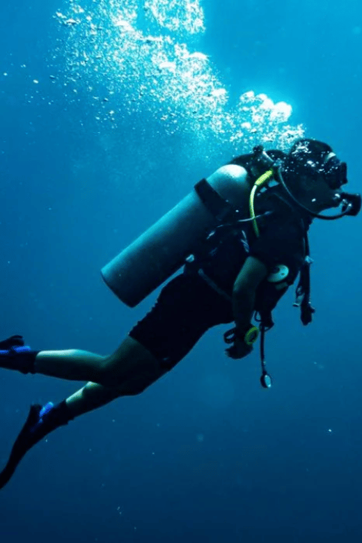 2 Best Scuba Diving Experiences In Ensenada