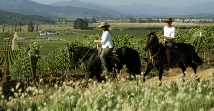 Ensenada: Horseback Riding at the Vineyards