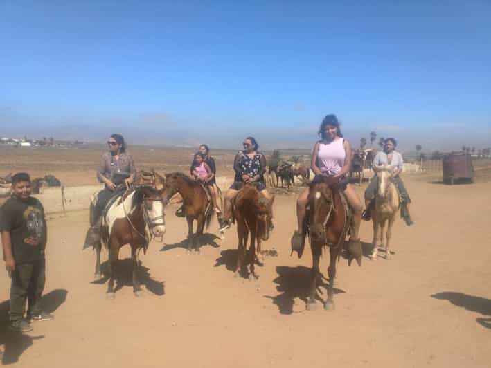Ensenada: La Bufadora and Playa Hermosa Horseback Riding.