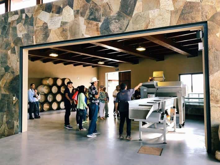 Ensenada: Sensory Wine Tasting With Chocolate