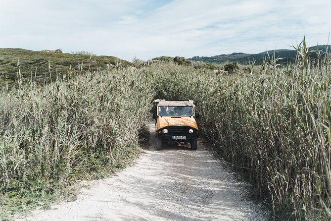 Epic Off-Road Adrenaline in Sintra