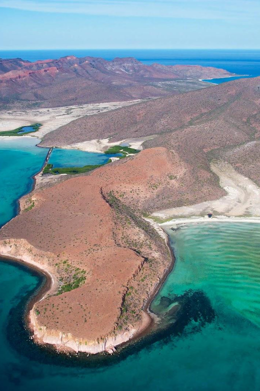 Espiritu Santo Island: Snorkeling Sea Lion Adventure