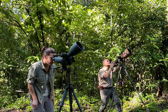 Esquipulas Rainforest – Private Birding – Fully Customizable Tour