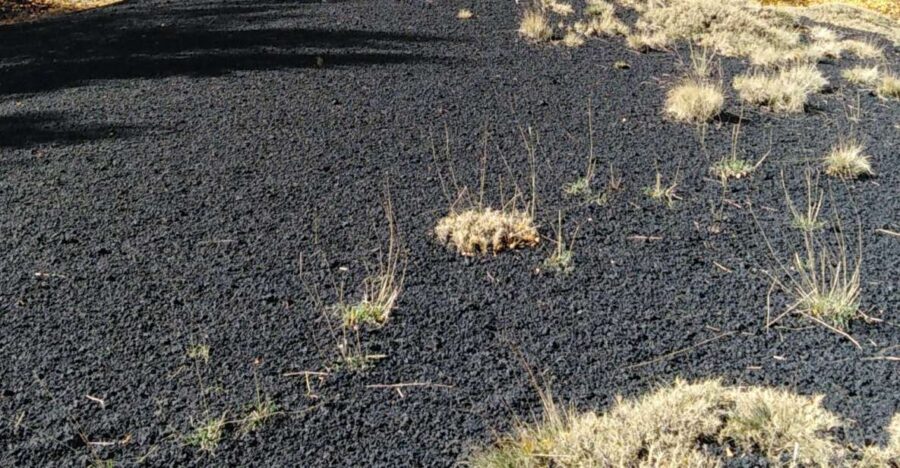 Etna: Private Tour With Wine Tasting and Lunch