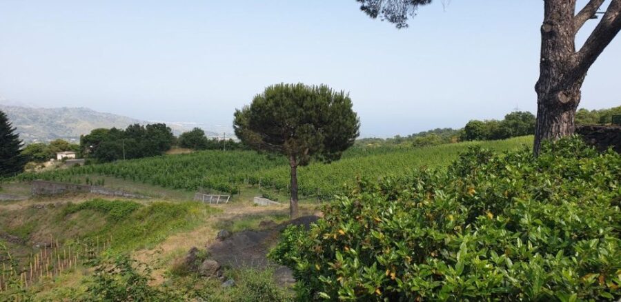 Etna Trekking & Wine