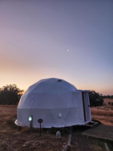 Euroa Glamping - Glamping Accommodations