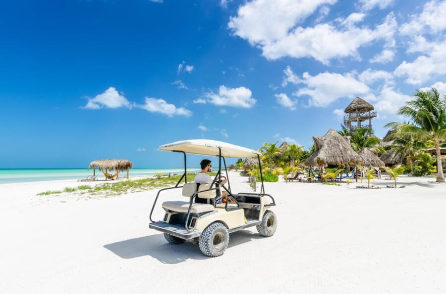 Exclusive Full Day Nature Expedition to Holbox Island