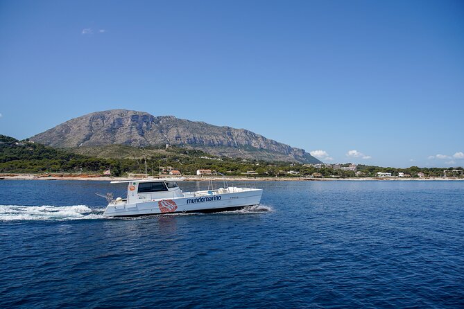 Excursion to the Cova Tallada With Optional Swimming Stop Denia