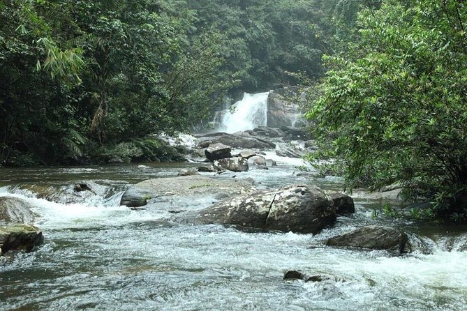 Explore Sinharaja Rainforest - Discovery Tour (Half Day)