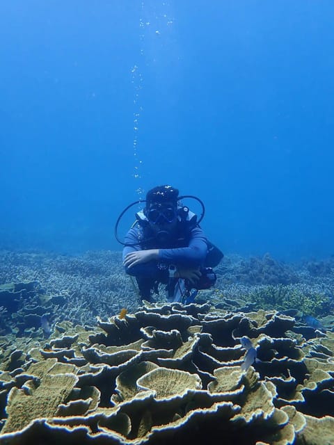 Explore the Mangroves and Coral Reefs of Malaysia - Overview of the Activity