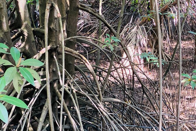 Exploring Singapore’s Forgotten Hills