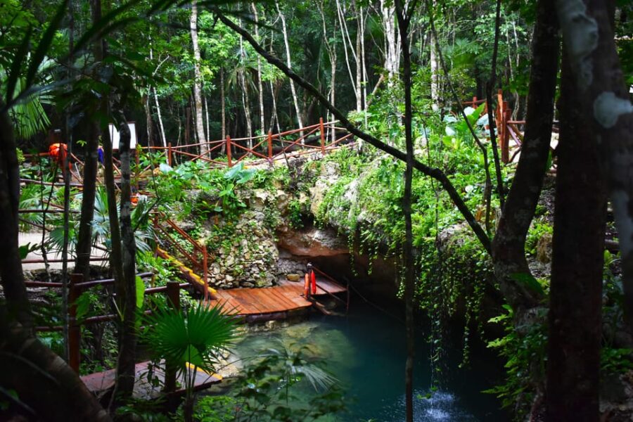 Extreme Jungle Cenotes and Snorkeling at Puerto Morelos Reef