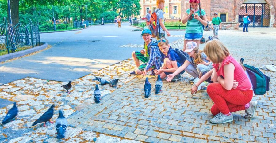 Family Tour of Krakow Old Town With Sweets Factory & Cruise