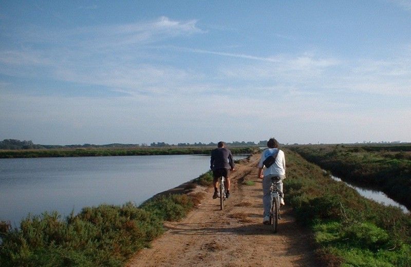 Faro Bike Tour Through the Beautiful Ria Formosa - Tour Overview and Pricing