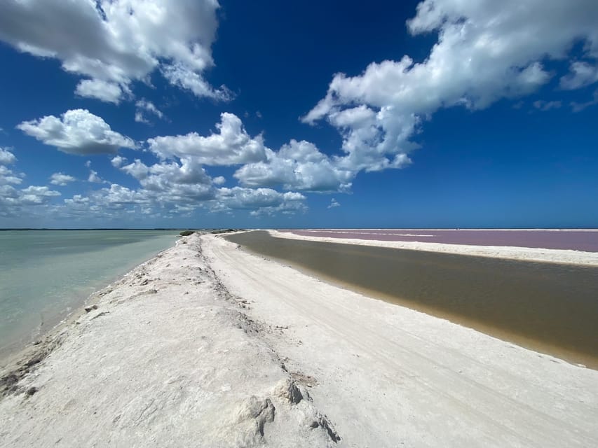 Flamingo Deluxe Rio Lagartos and Las Coloradas