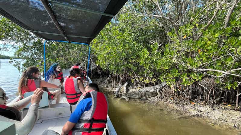 Flamingo Tour Rio Lagartos, Yucatan 2 Hours