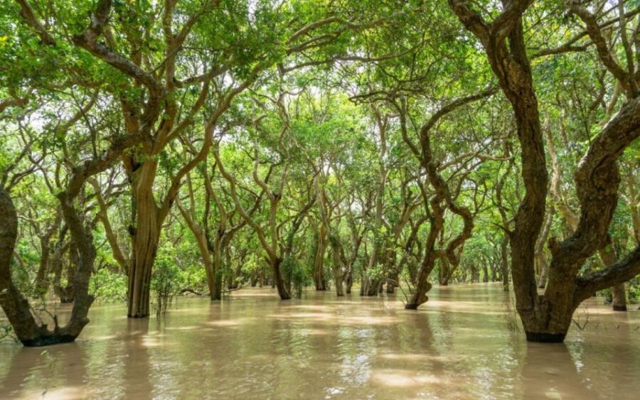 Floating Village Tour - Tour Overview