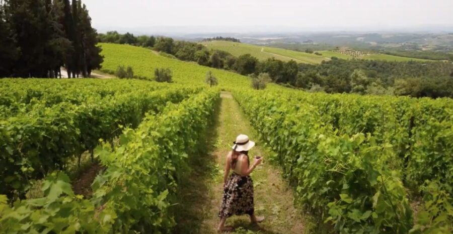 Florence: Chianti Vineyards Tour With Wine Tasting & Dinner