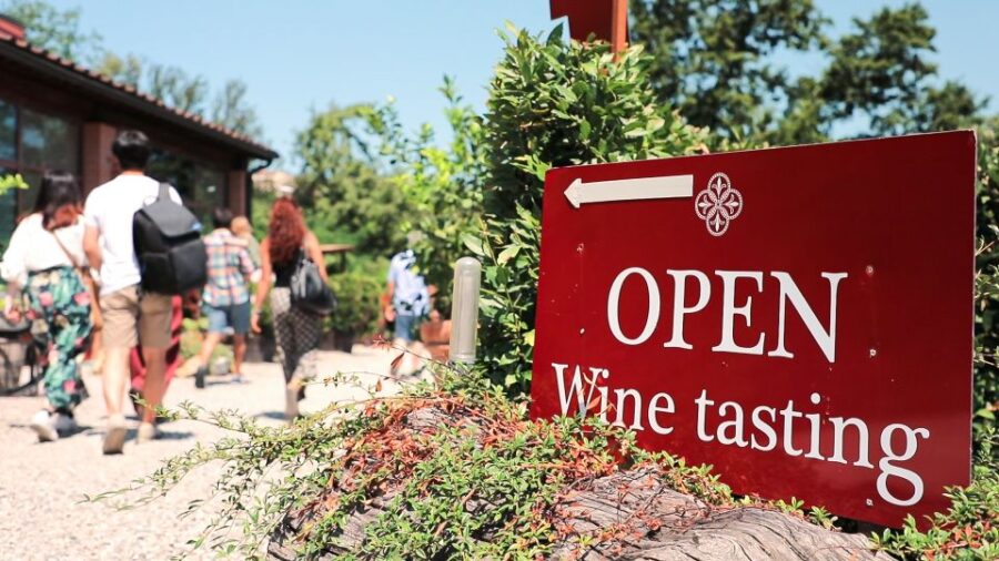 Florence: S. Gimignano, Siena, Chianti & Wine Tasting Lunch