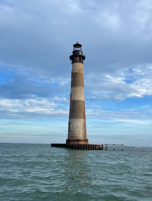 2 Best Dolphin Watching Tours In Folly Beach