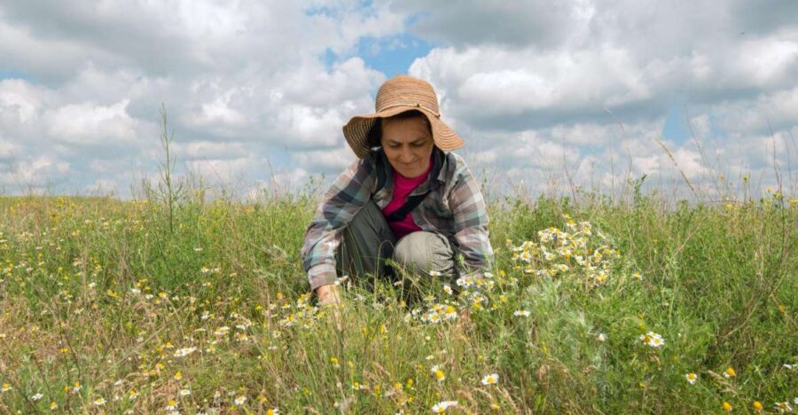 Foraging Tour in the Tuscan Countryside
