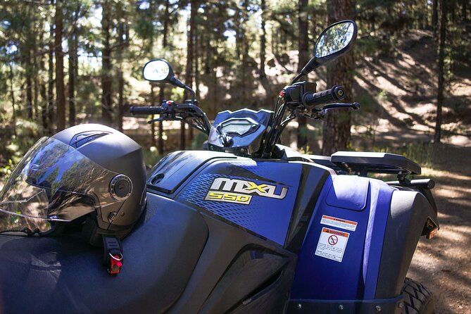 Forest & Off Road National Park Quad Biking Tour