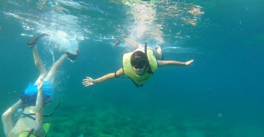 Fort Lauderdale: Guided Snorkeling Reef Tour and Lesson - Tour Overview