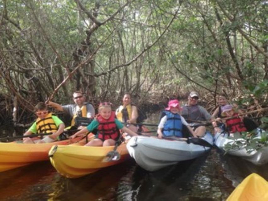 4 Best Guided Tours In Fort Myers Beach