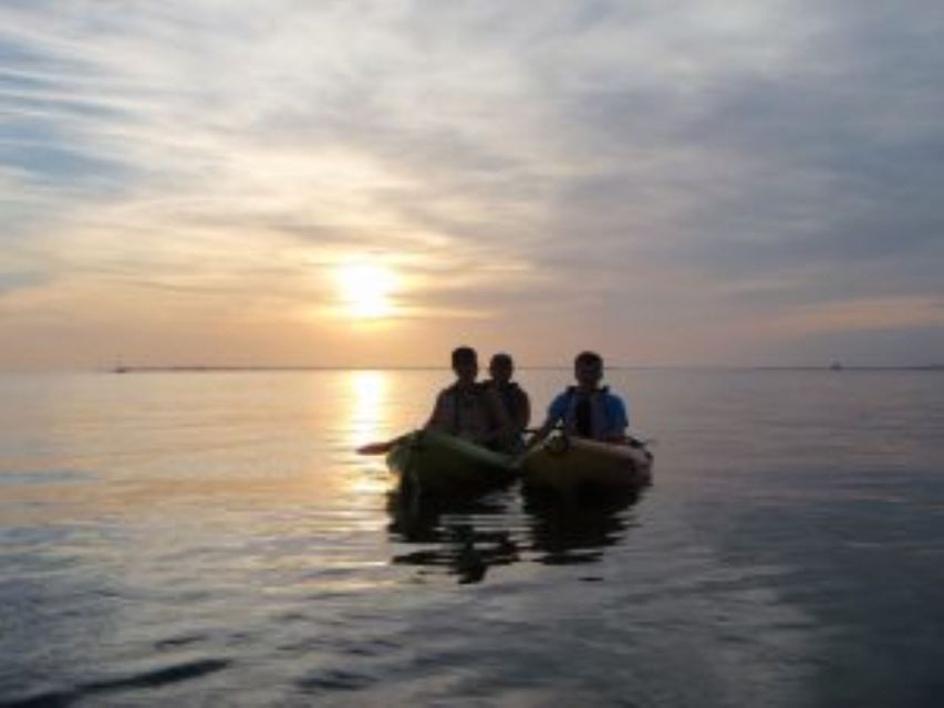 4 Best Canoe And Kayak Experiences In Fort Myers Beach