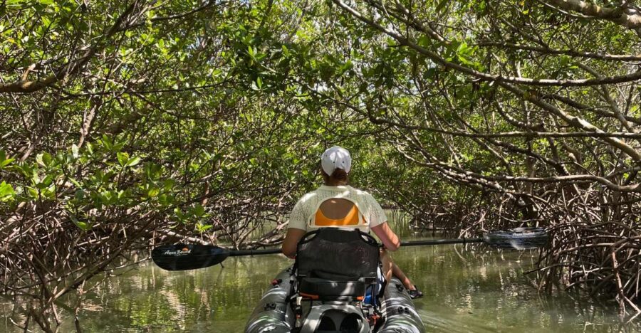 Fort Pierce: 2-hr Jungle Tour at Prehistoric Preserve in FL