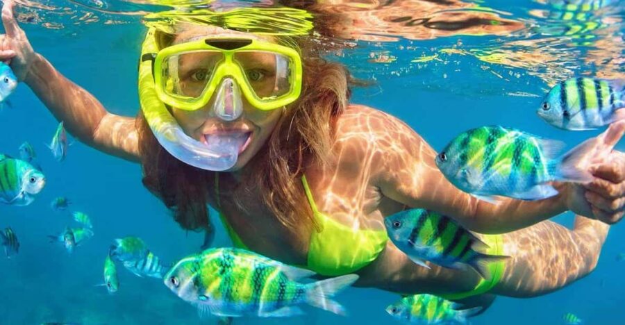 Fort Walton: Dolphin Discovery and Snorkeling Cruise