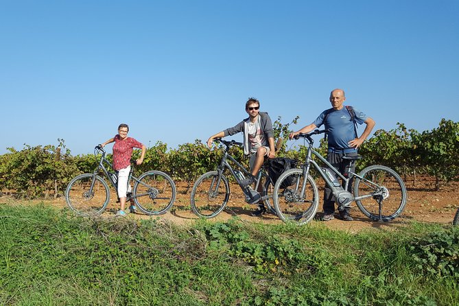 From Barcelona: E-Bike Tour in the Vineyards With 2 Wineries