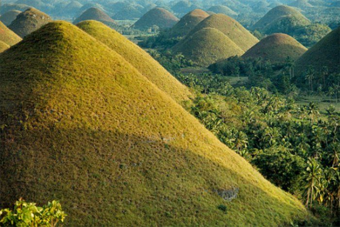 From Bohol & Panglao Island: Full-Day Bohol Tour