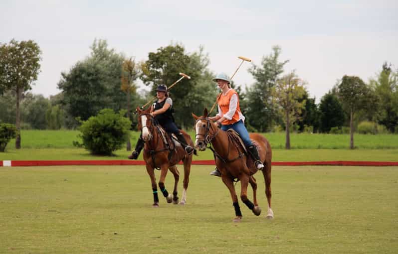 From Buenos Aires: Polo Match, Lesson, and BBQ Day-Trip