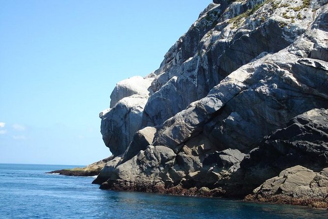 From Buzios To Arraial With Photos On A Private Tour! - Inclusions and Exclusions