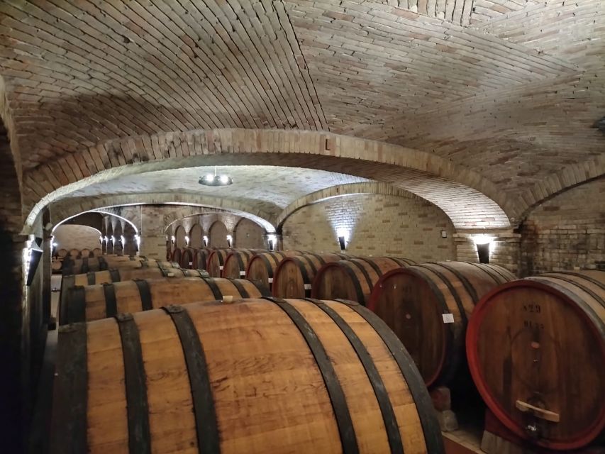 From Cagliari: Wine Cellar Tour With Tastings