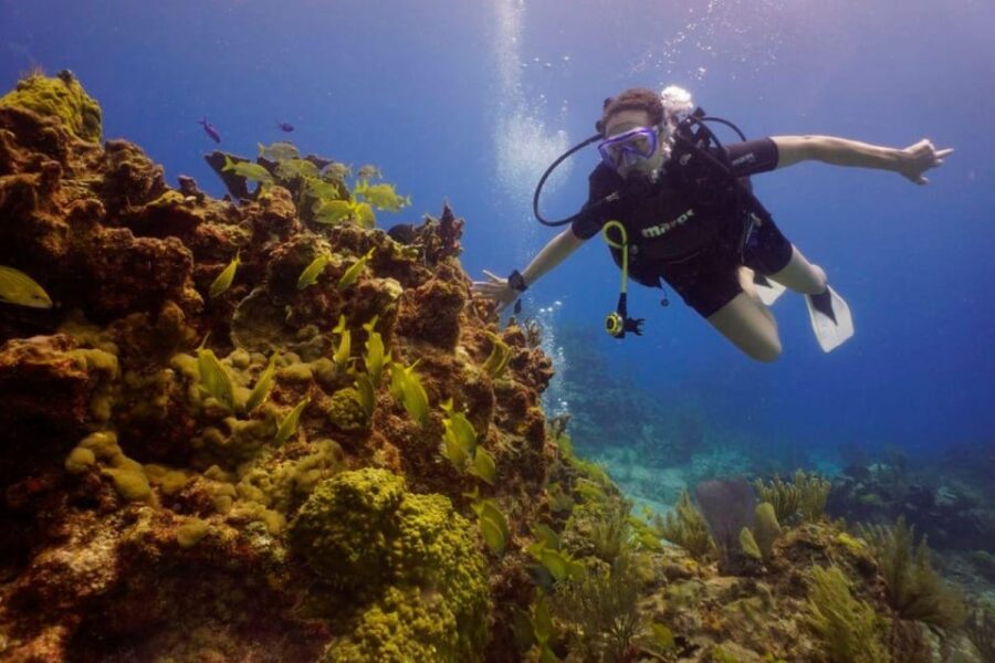 From Cancun: Chikin Ha Cenote Diving Experience
