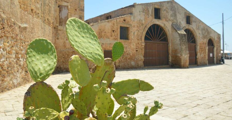 From Catania: Syracuse, Ortigia & Marzamemi Full-day Tour