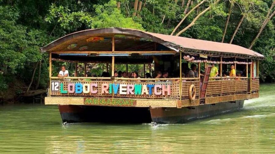 From Cebu: Bohol Countryside Private Tour With Buffet Lunch