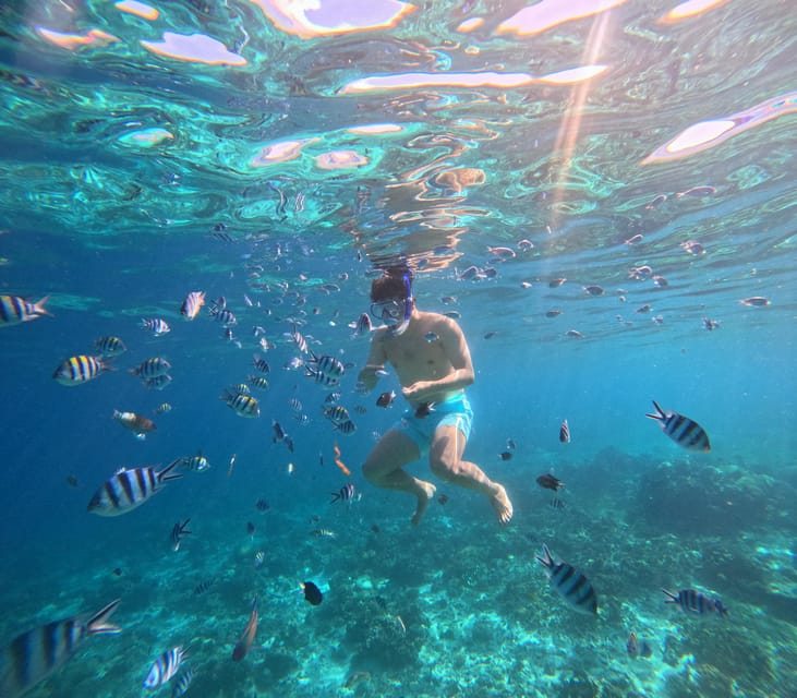 6 Best Lunch Experiences In Lapu Lapu City