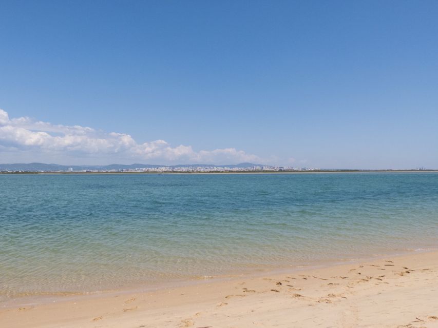 From Faro: 2-Hour Guided Bird Watching Boat Trip - Tour Overview