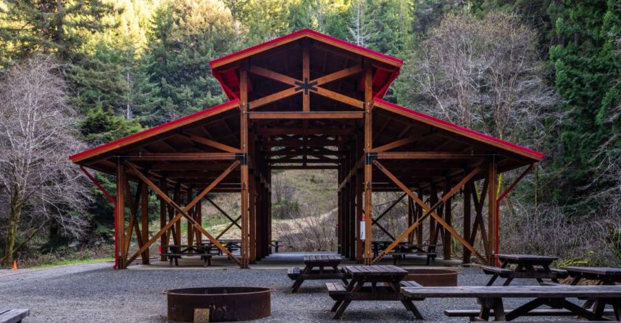 From Fort Bragg: Redwoods Train Ride and Nightclub Ticket