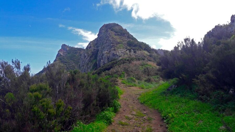 From Funchal: Machico to Porto Da Cruz Larano Cliff Hike